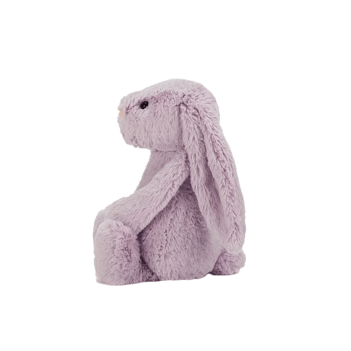 Bashful Hyacinth Bunny