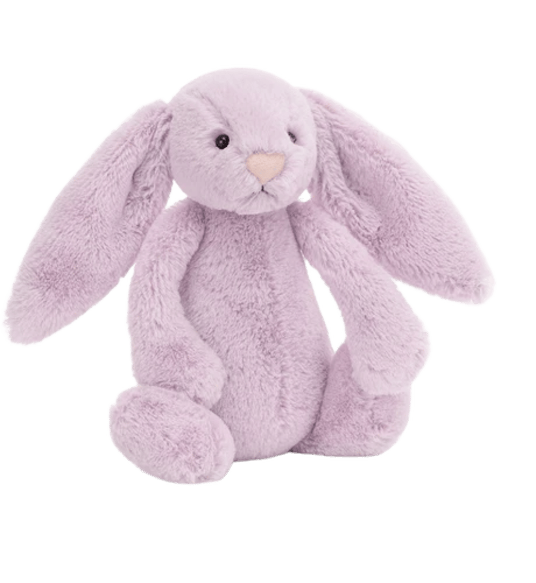 Bashful Hyacinth Bunny