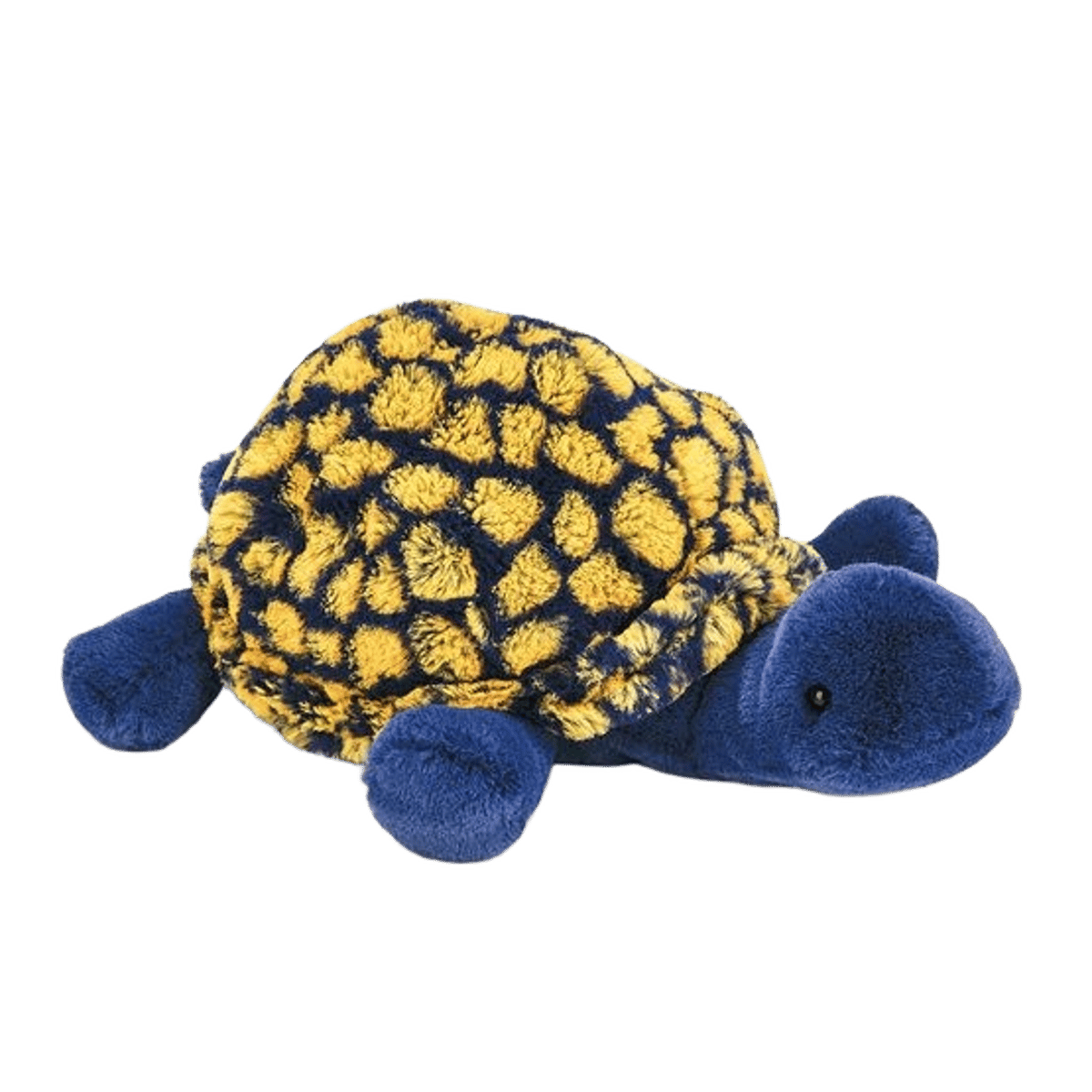 Tootle Tortoise Blue