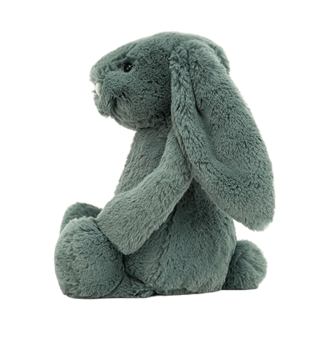 Bashful Forest Bunny