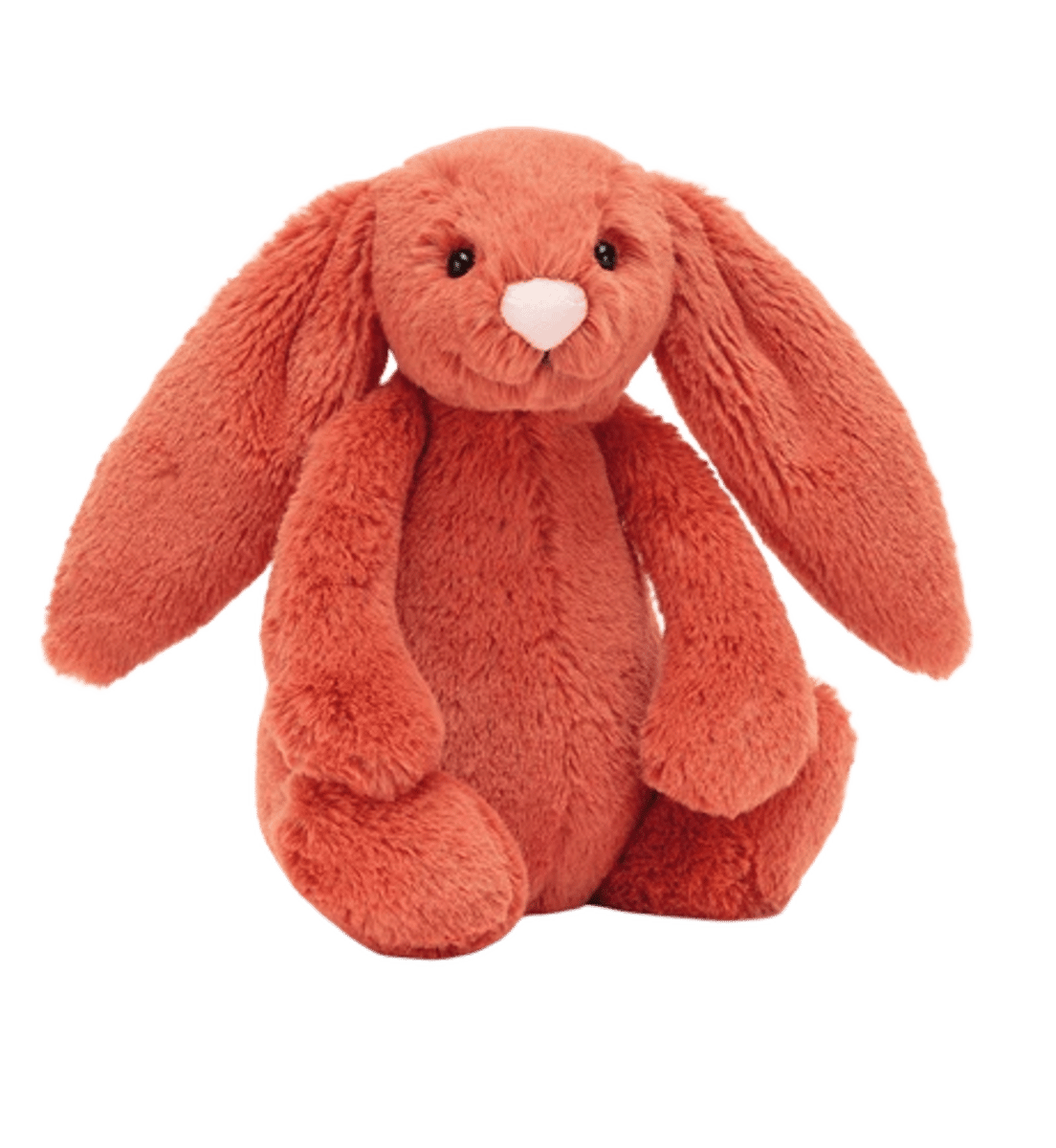 Bashful Cinnamon Bunny