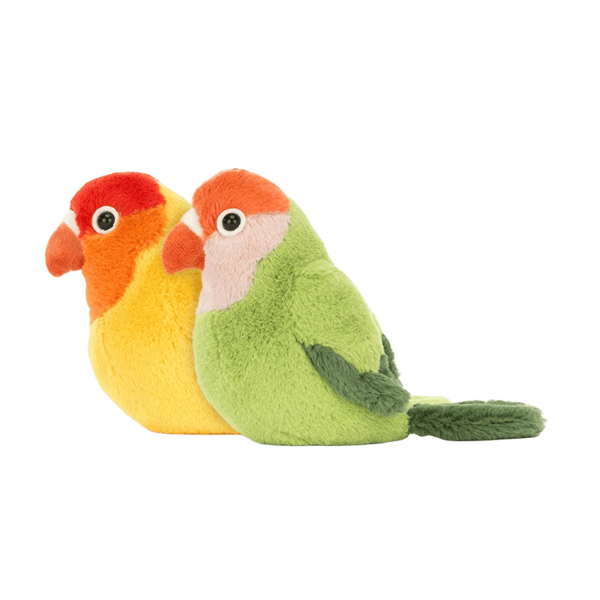 A Pair of Lovely Lovebirds