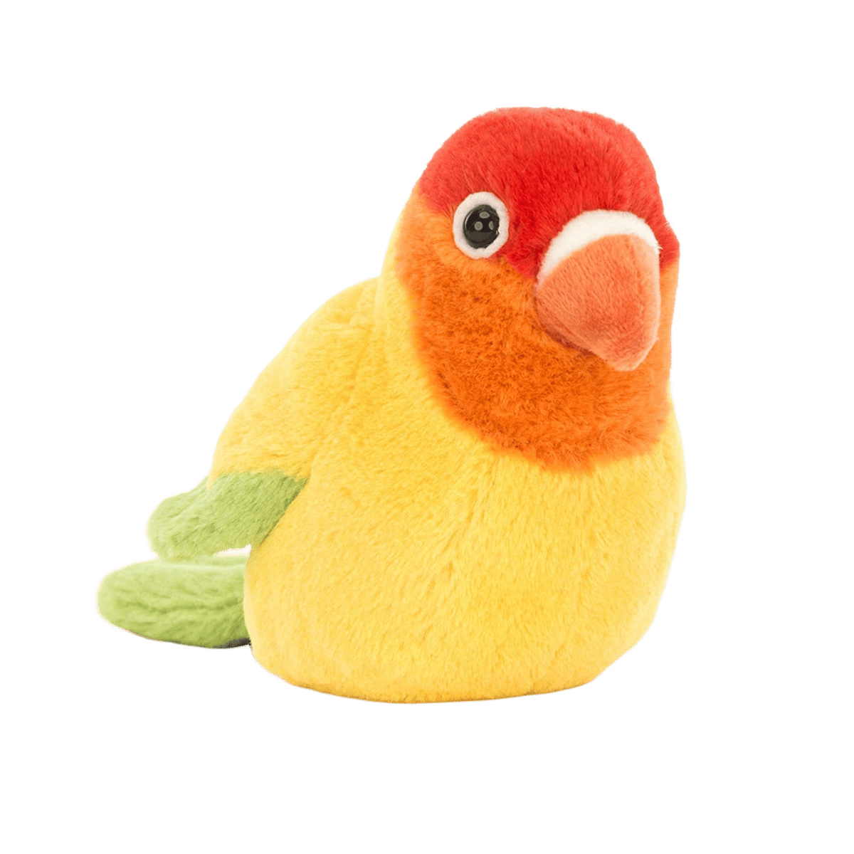 A Pair of Lovely Lovebirds