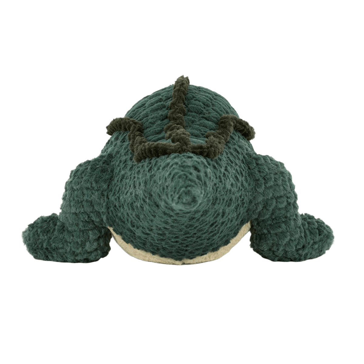 Allexi Alligator