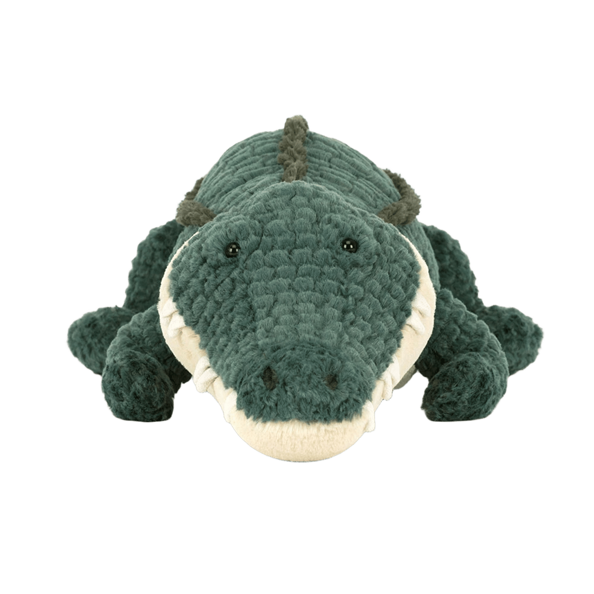 Allexi Alligator