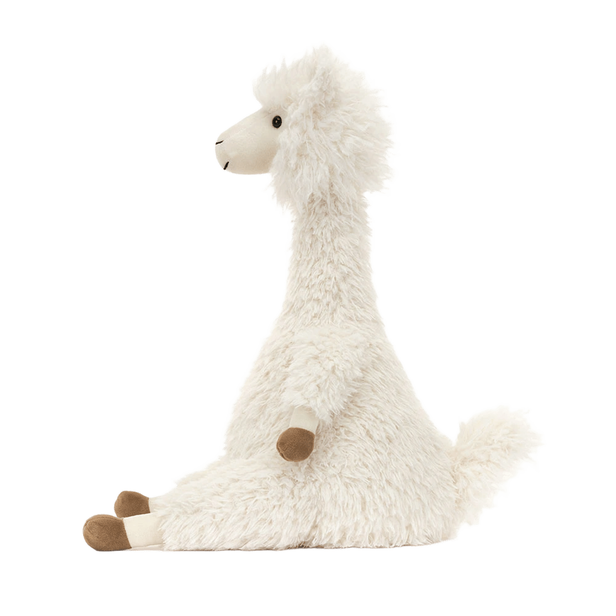 Alonso Alpaca