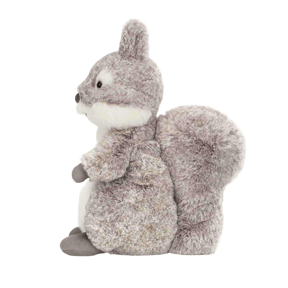 Ambrosie Squirrel