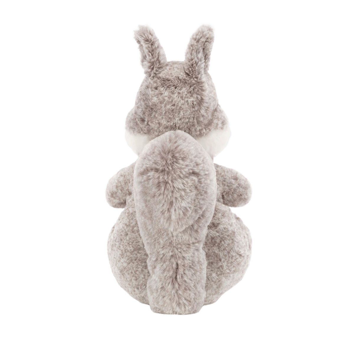 Ambrosie Squirrel