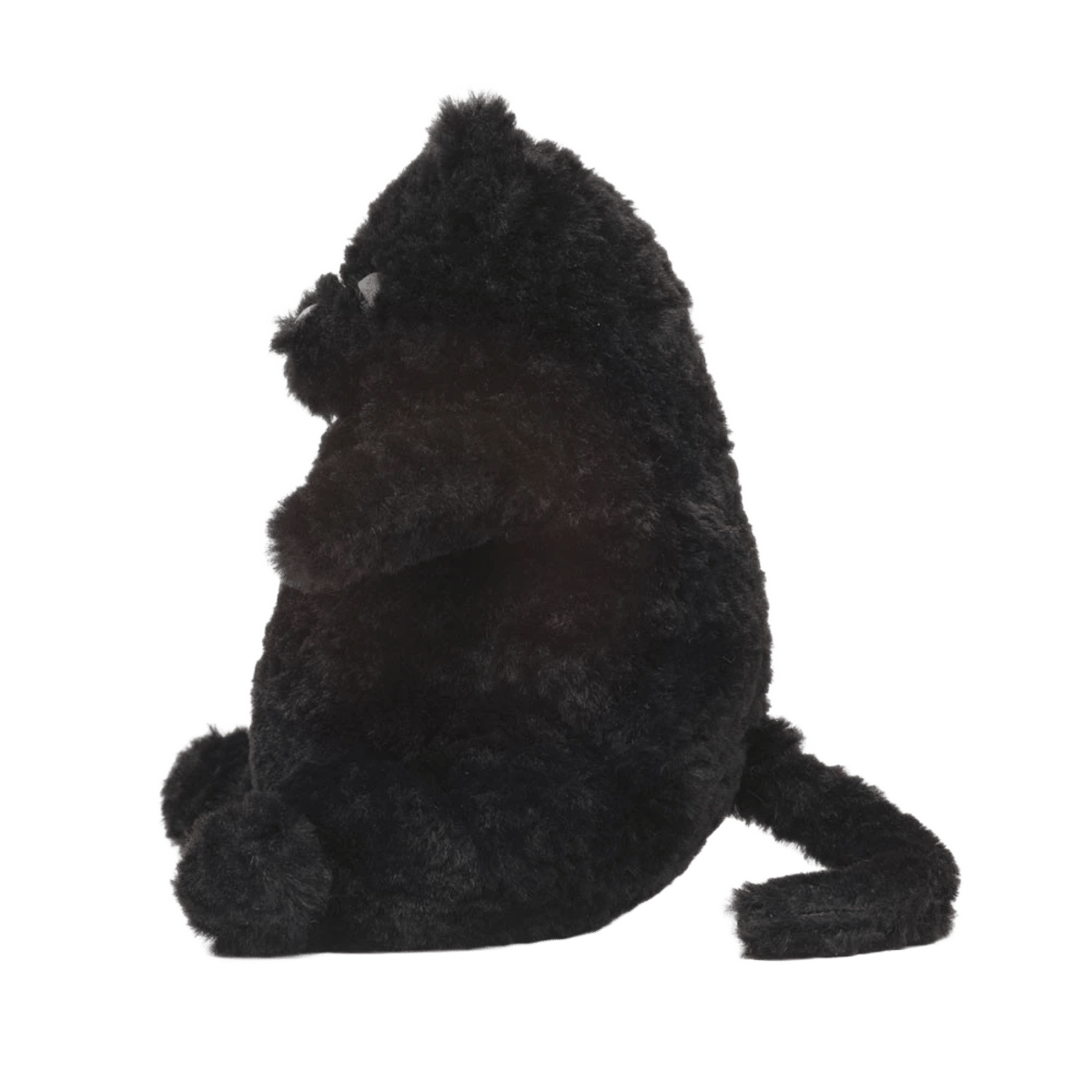 Amore Cat Black