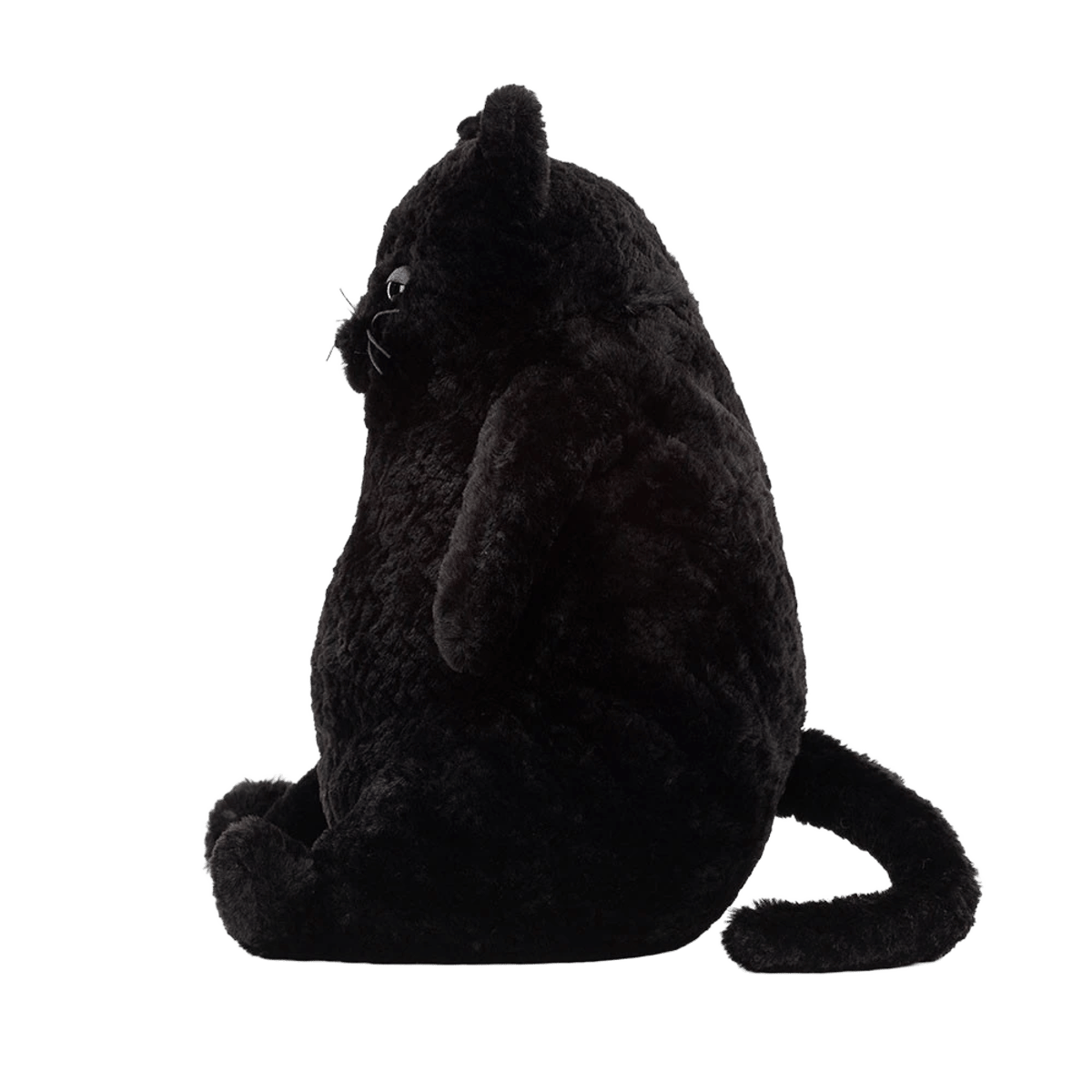Amore Cat Black