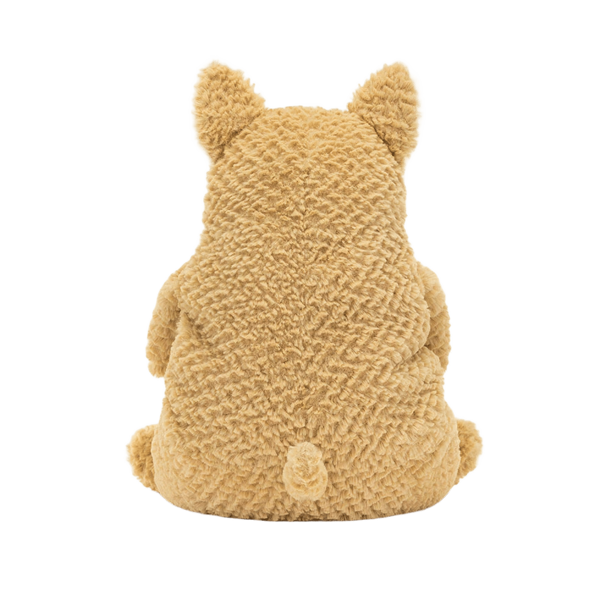 Amore Corgi
