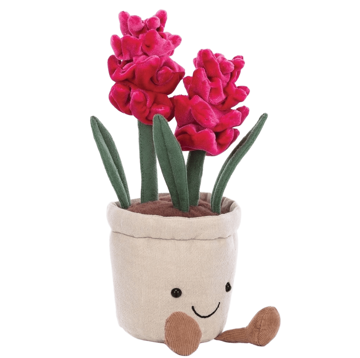 Amuseable Hyacinth