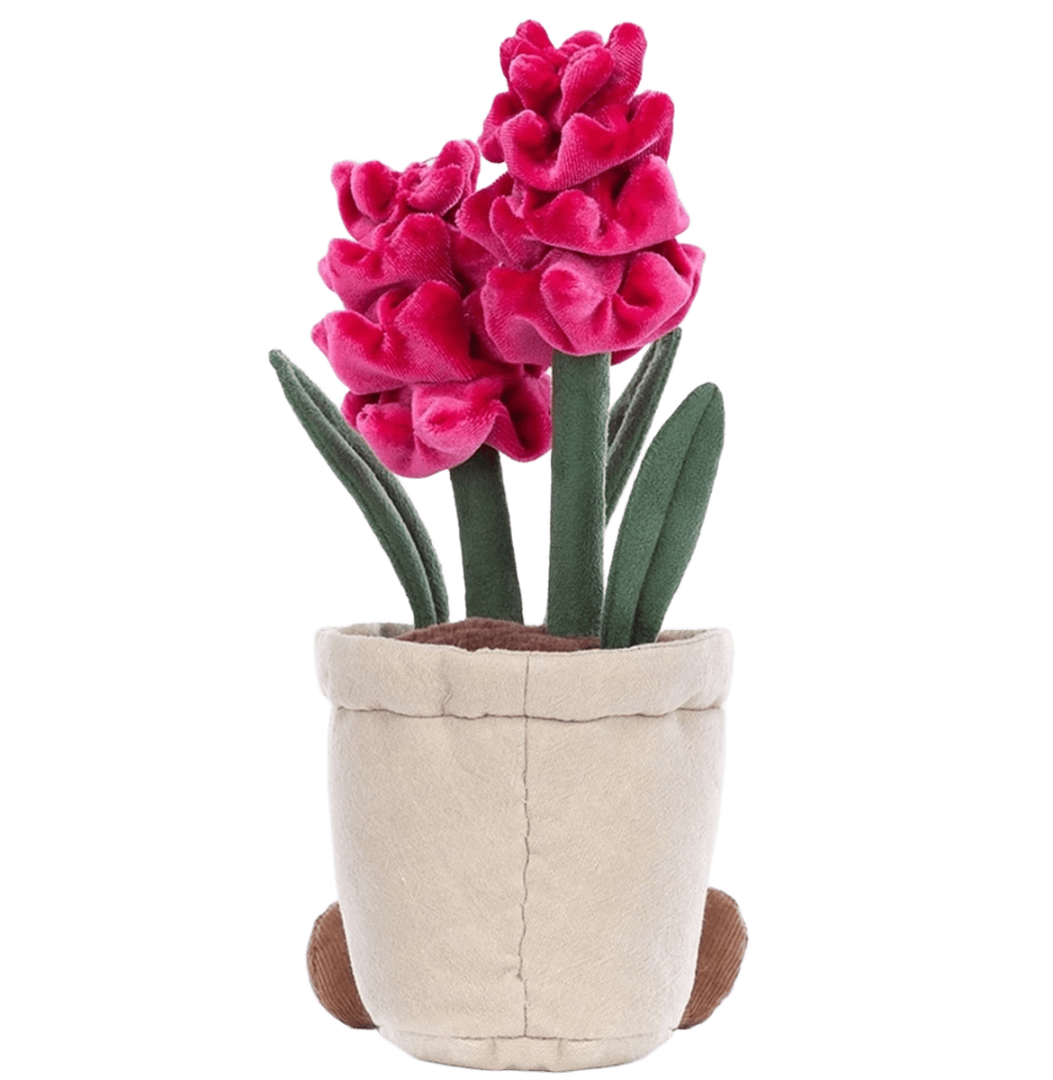 Amuseable Hyacinth