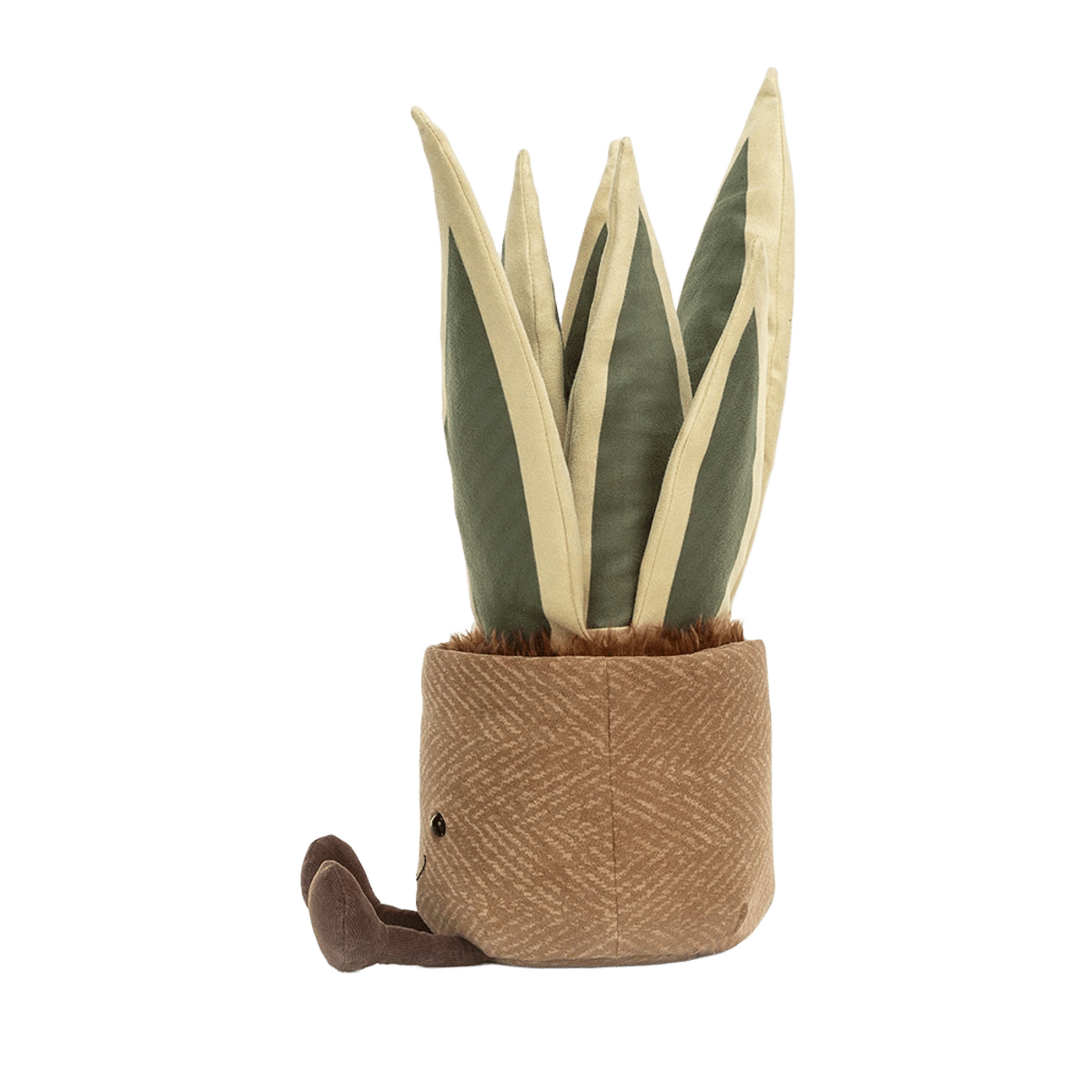 Amuseables Snake Plant