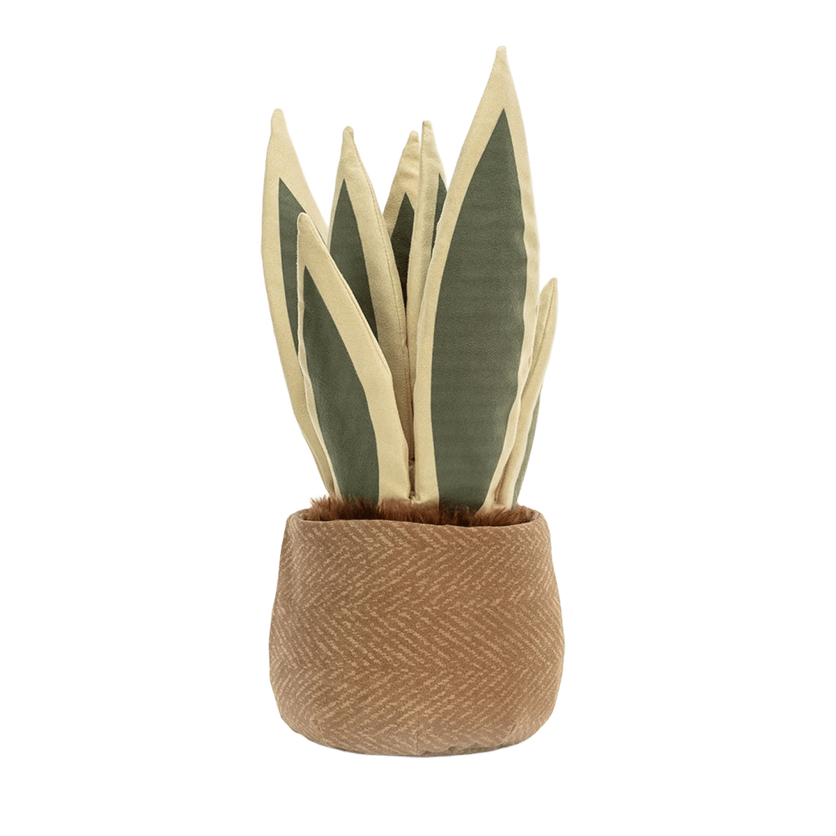 Amuseables Snake Plant