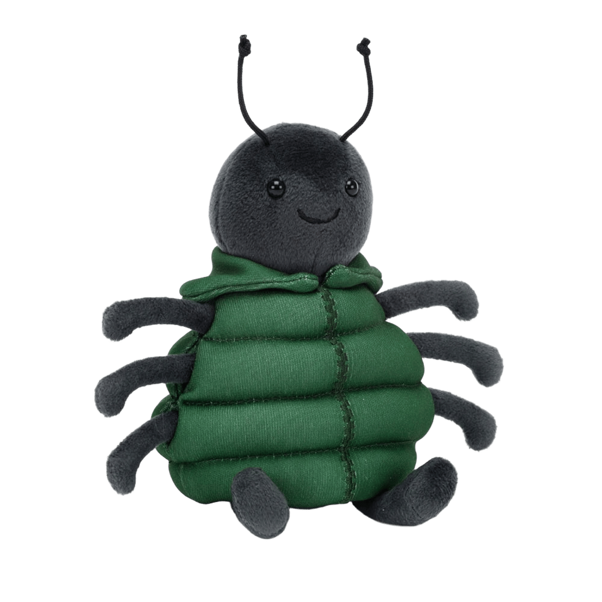 Anoraknid Black Spider