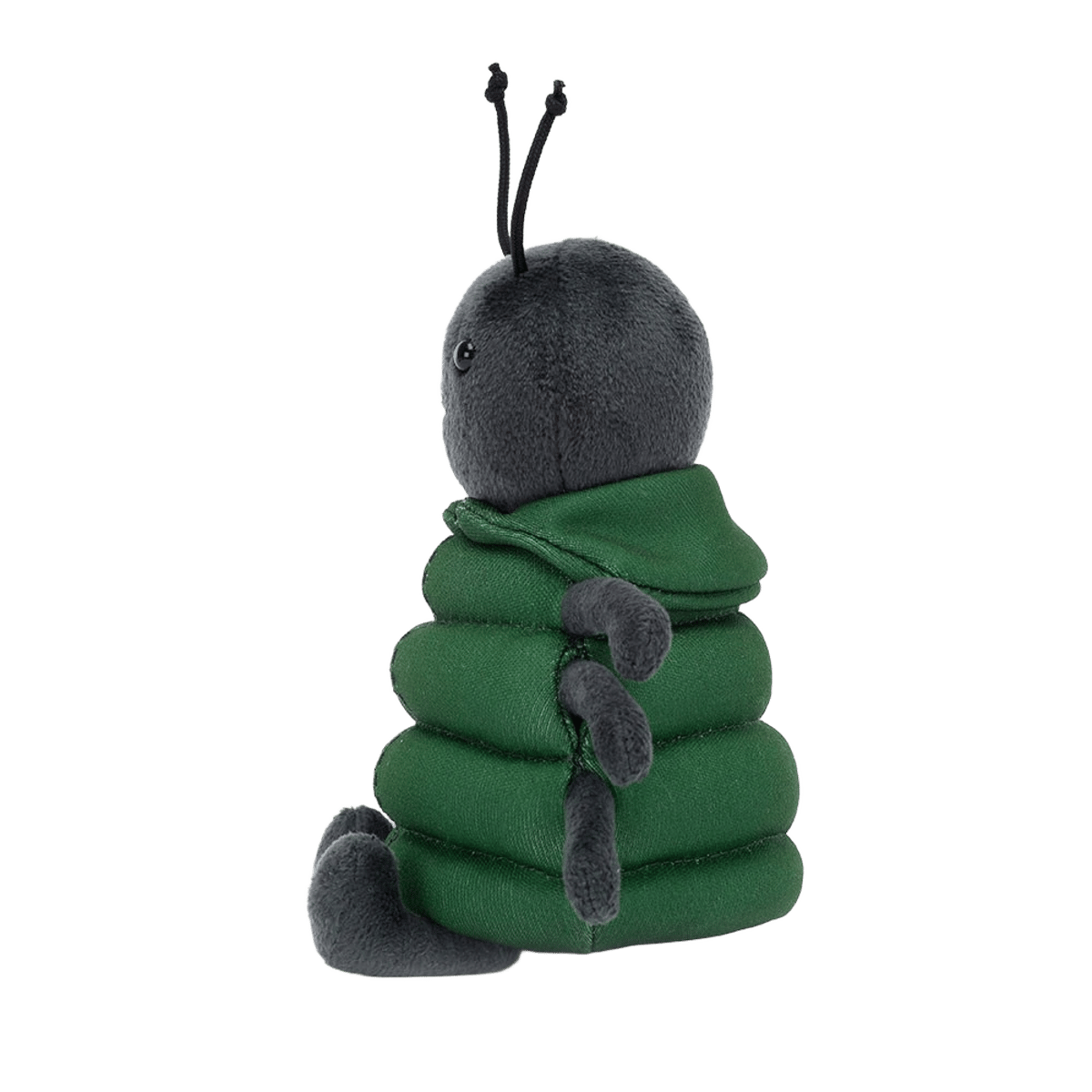 Anoraknid Black Spider