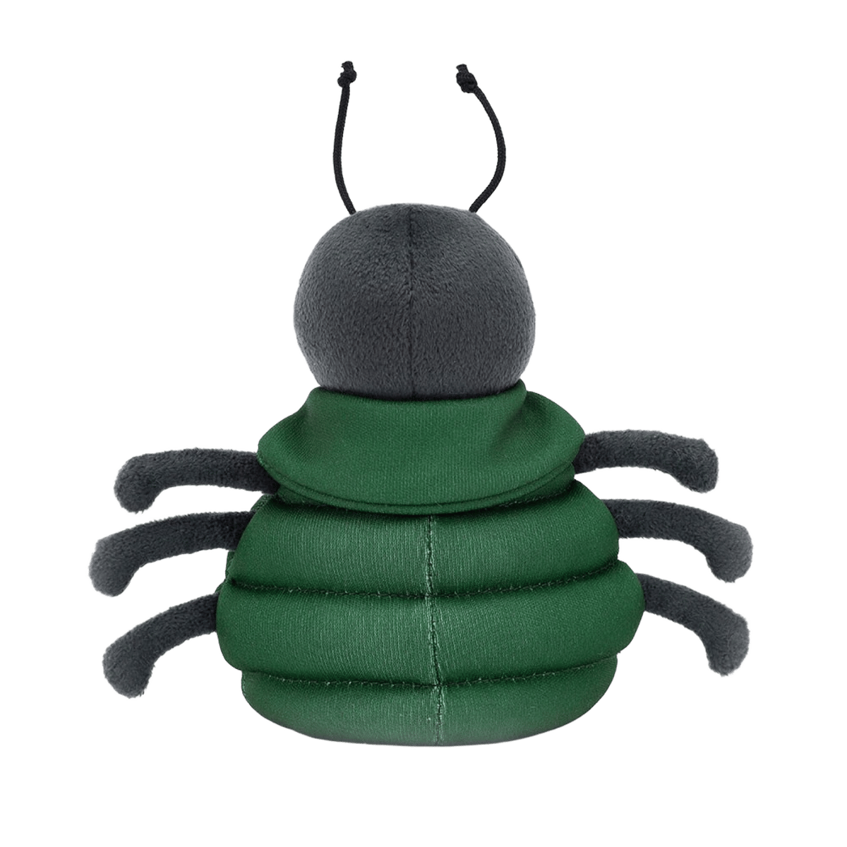 Anoraknid Black Spider