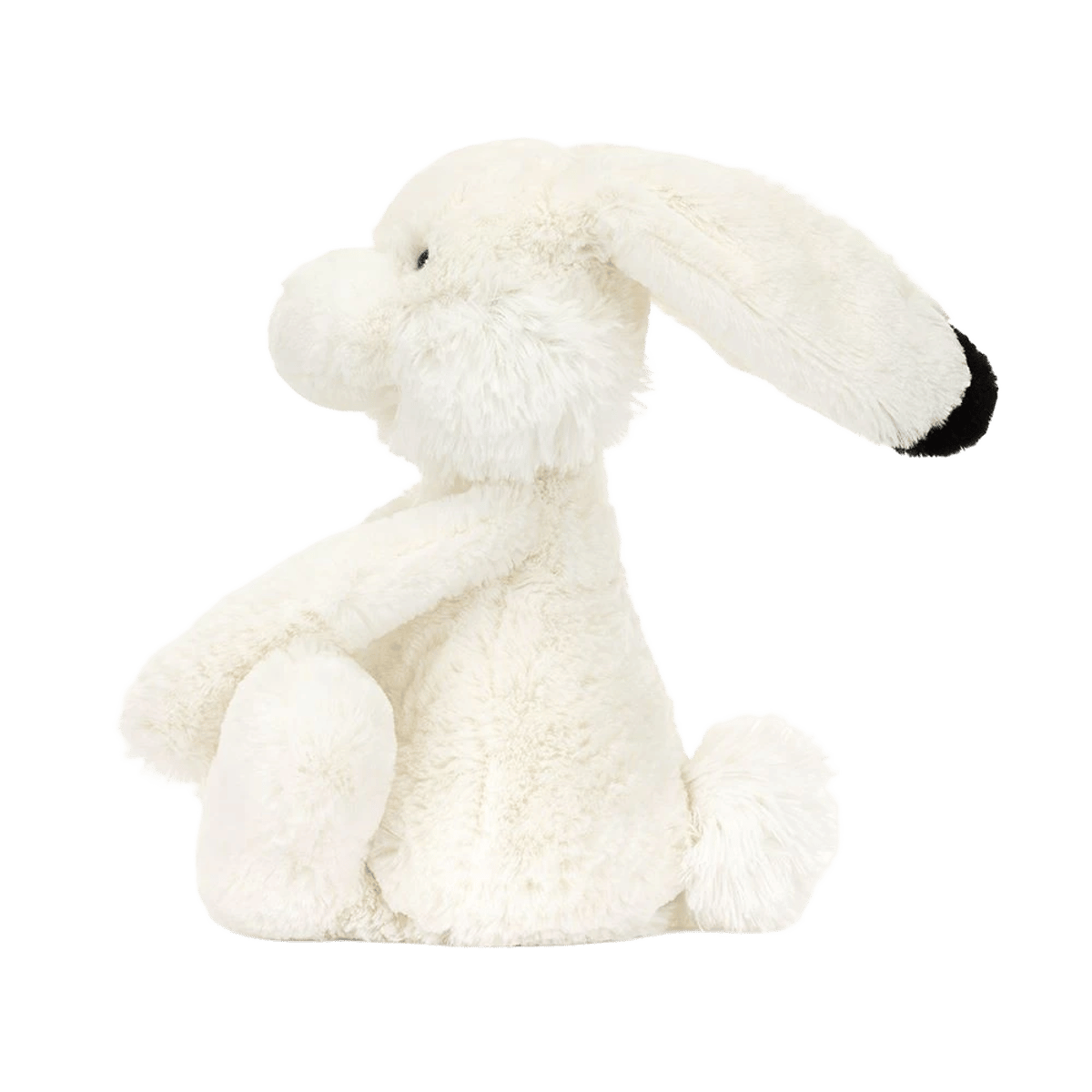 Arlo Hare