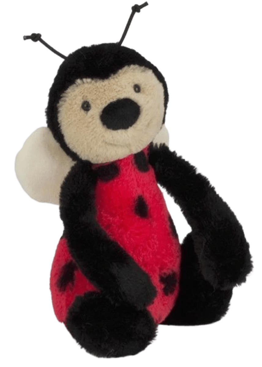 Bashful Ladybird