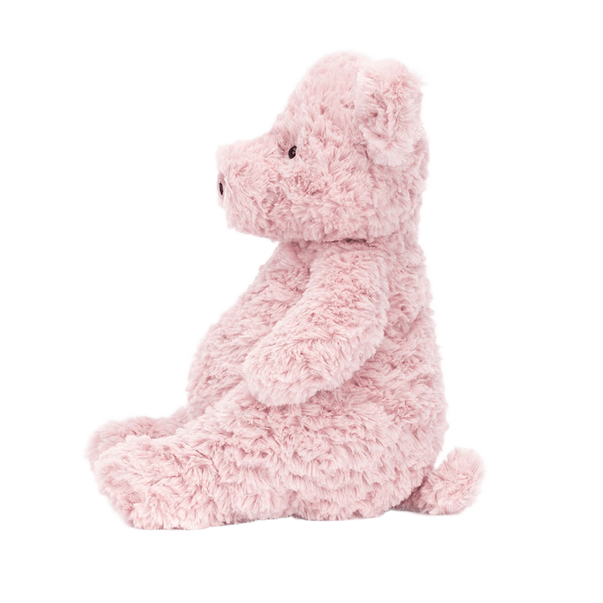 Barnabus Pig