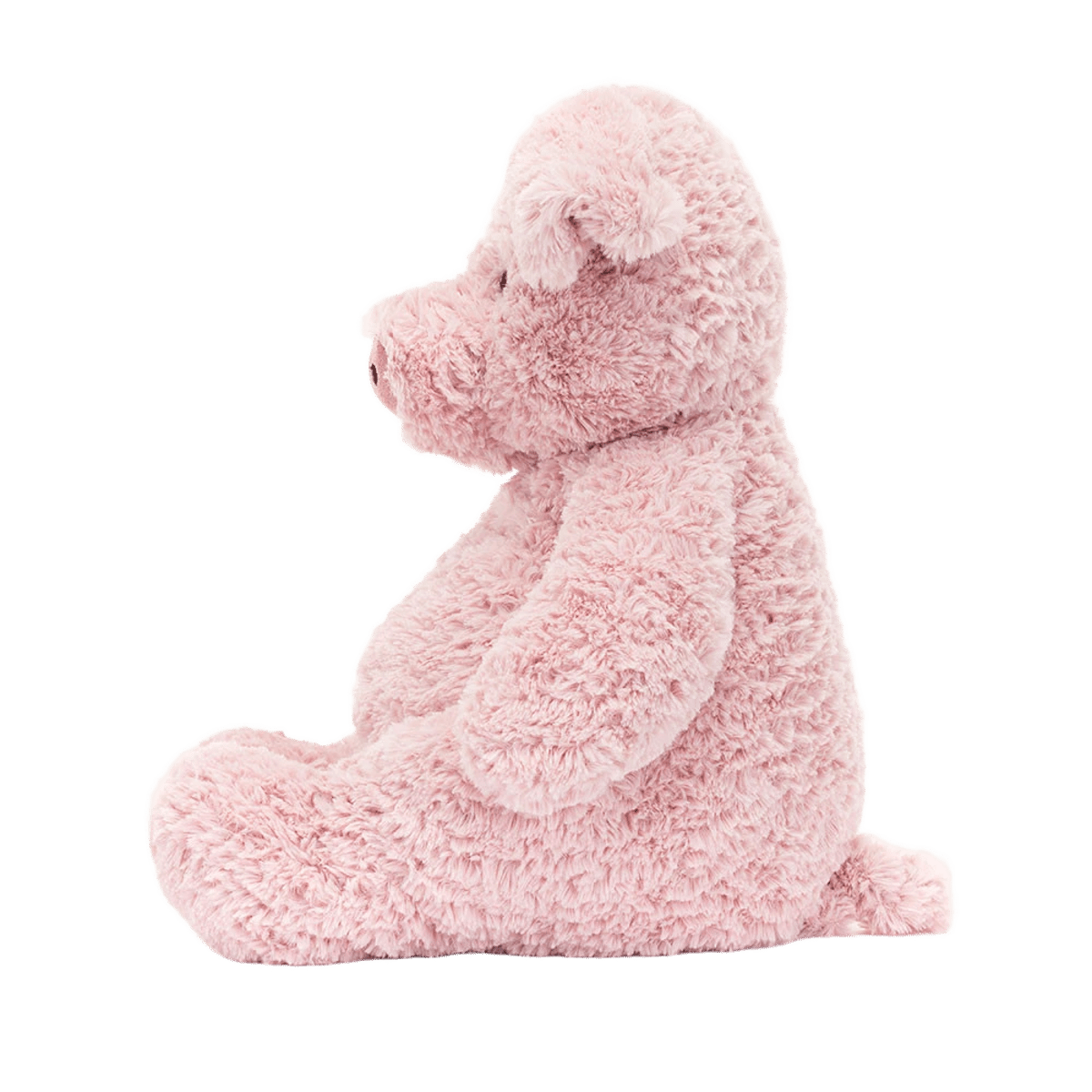 Barnabus Pig