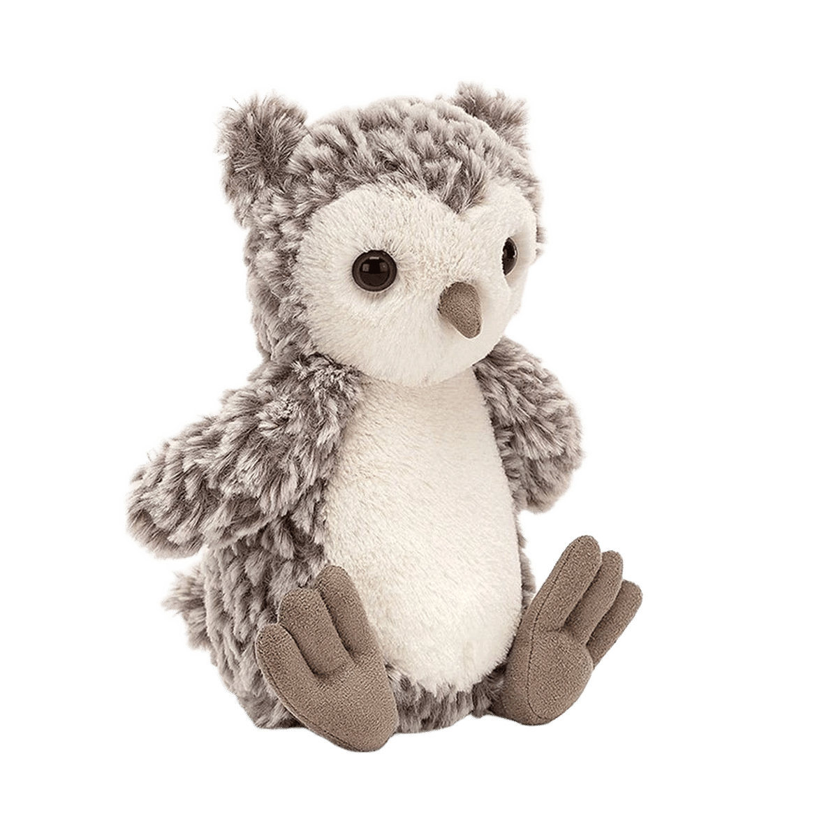 Barney Owl Chick