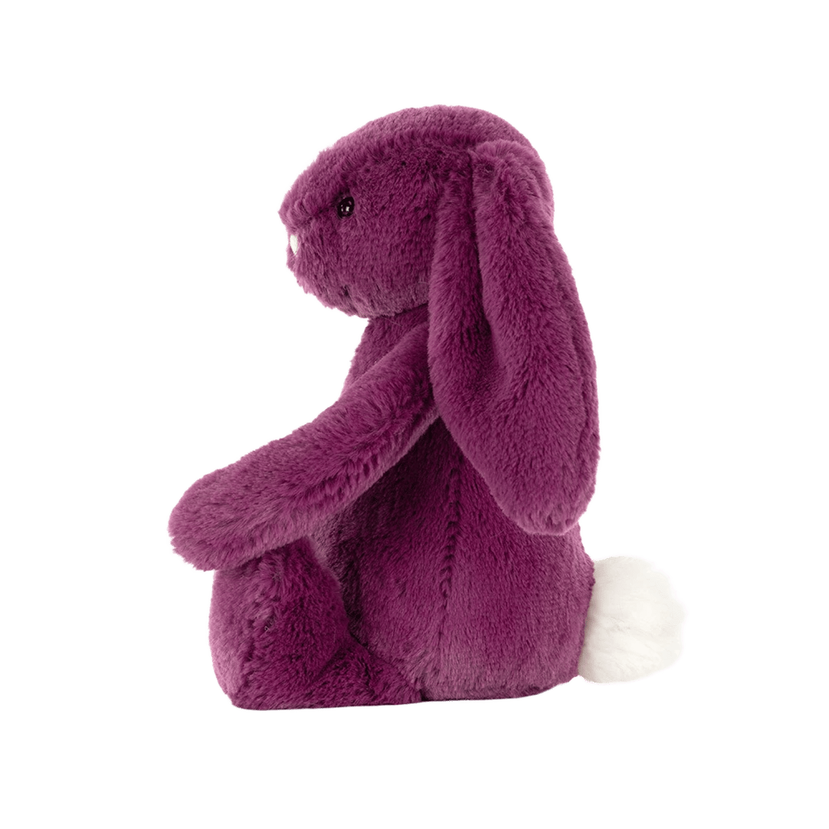 Bashful Allium Bunny