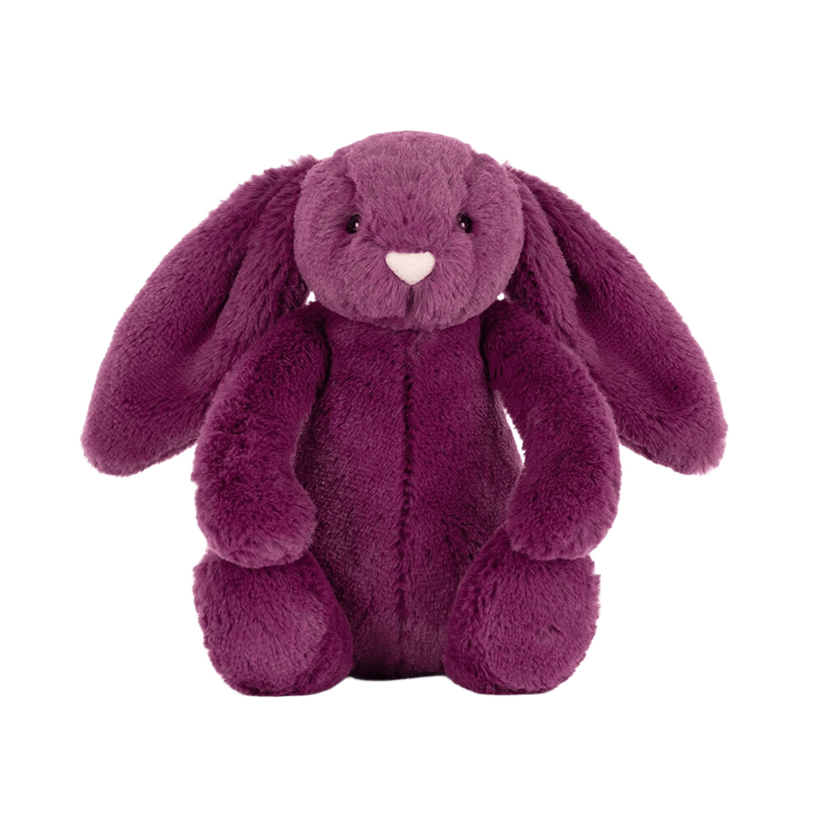 Bashful Allium Bunny