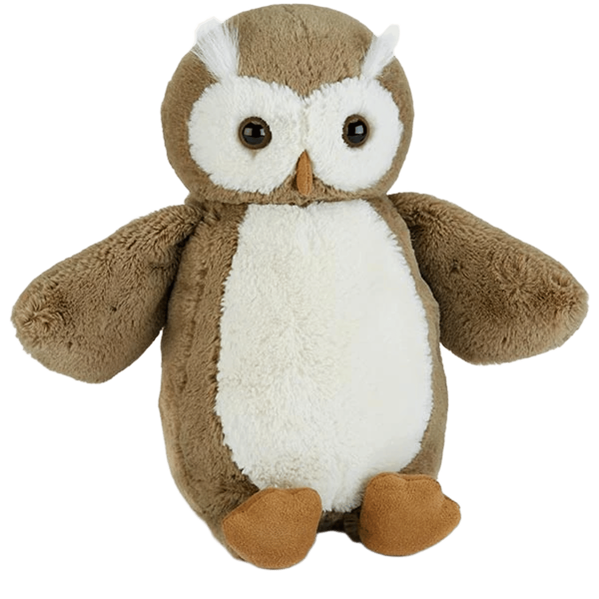 Bashful Barn Owl