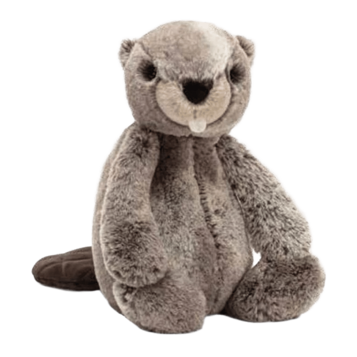 Bashful Beaver