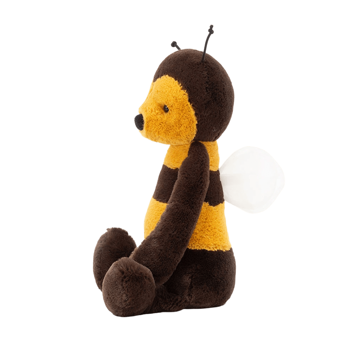 Bashful Bee