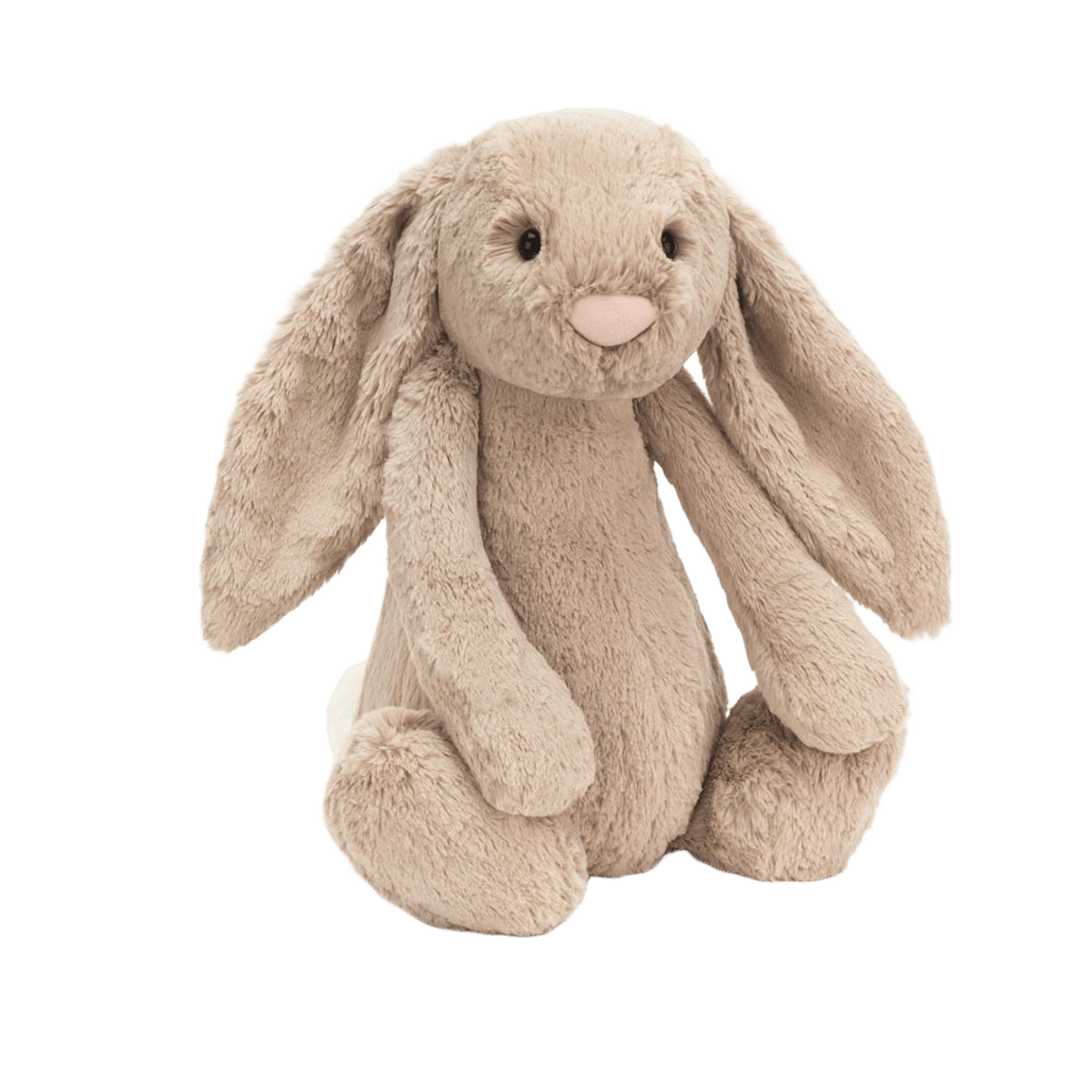 Bashful Beige Bunny