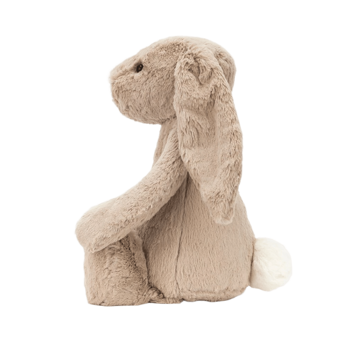 Bashful Beige Bunny