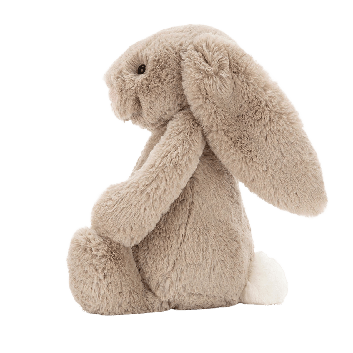 Bashful Beige Bunny