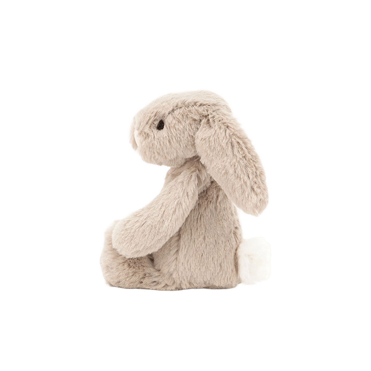 Bashful Beige Bunny
