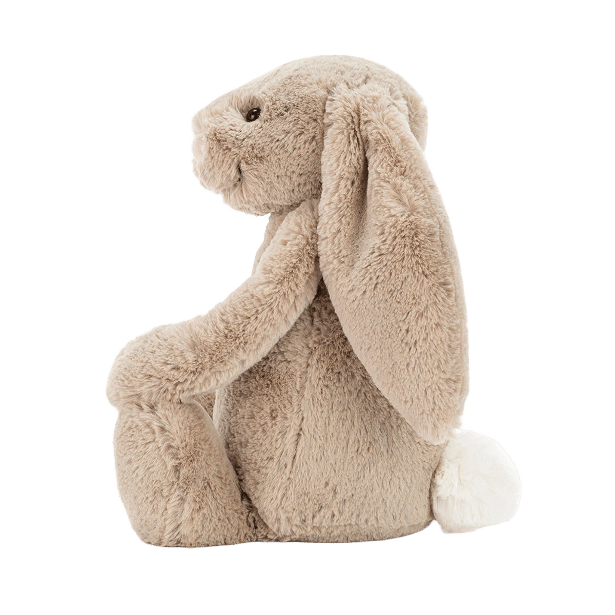 Bashful Beige Bunny