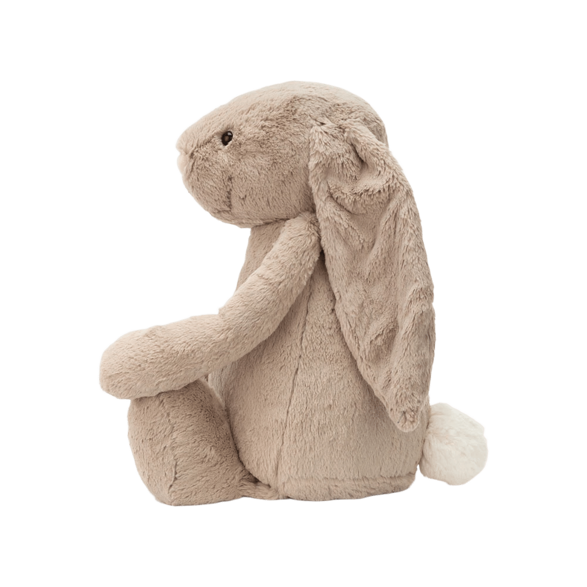 Bashful Beige Bunny