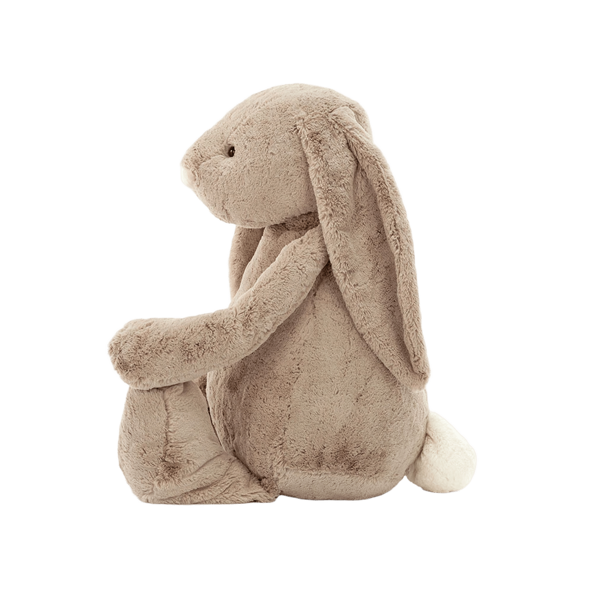 Bashful Beige Bunny