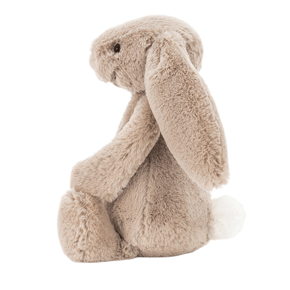 Bashful Beige Bunny