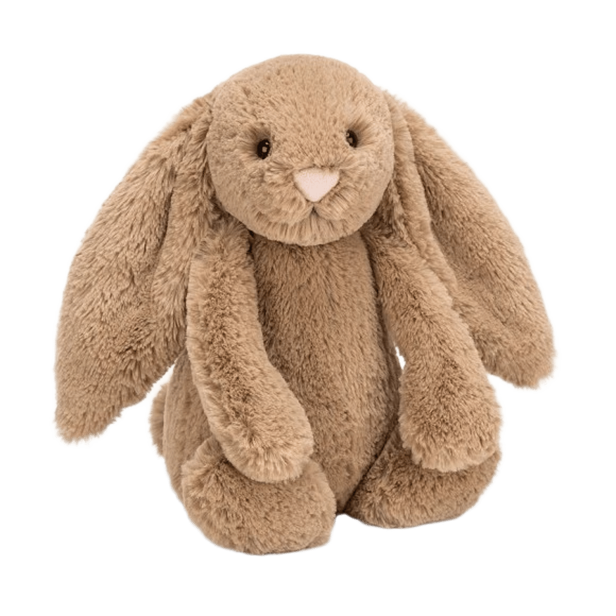 Bashful Biscuit Bunny