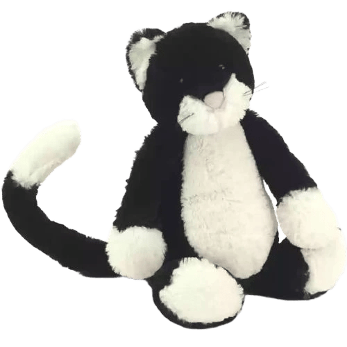Bashful Black and White Kitten