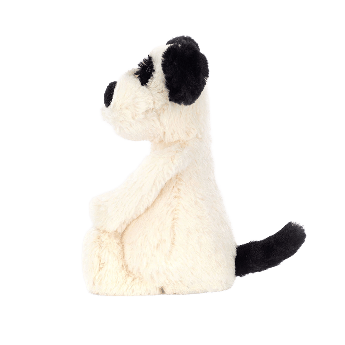 Bashful Black & Cream Puppy