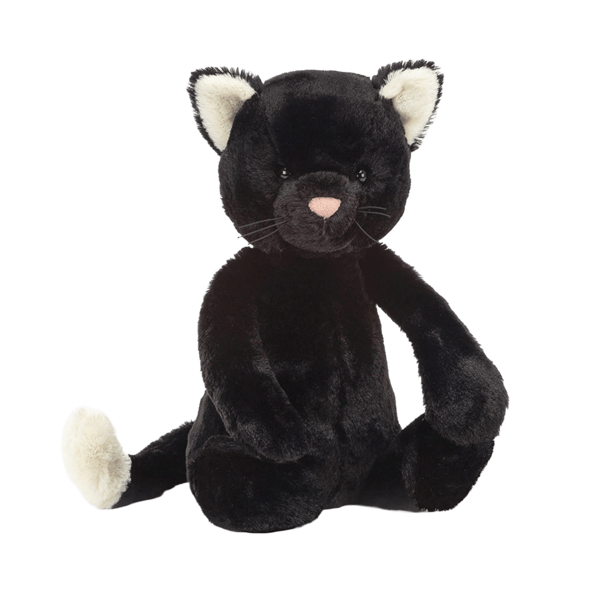 Bashful Black Kitten