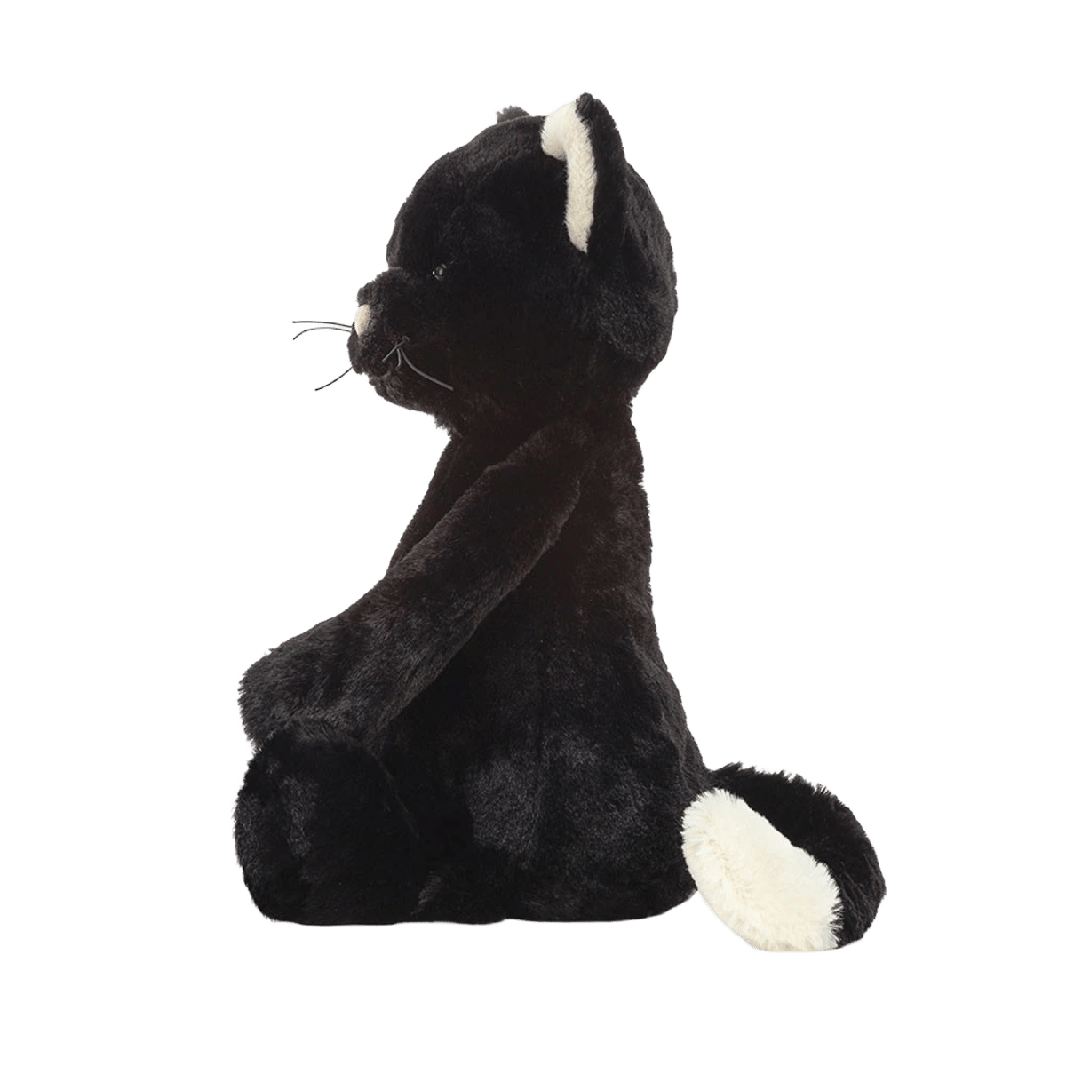 Bashful Black Kitten