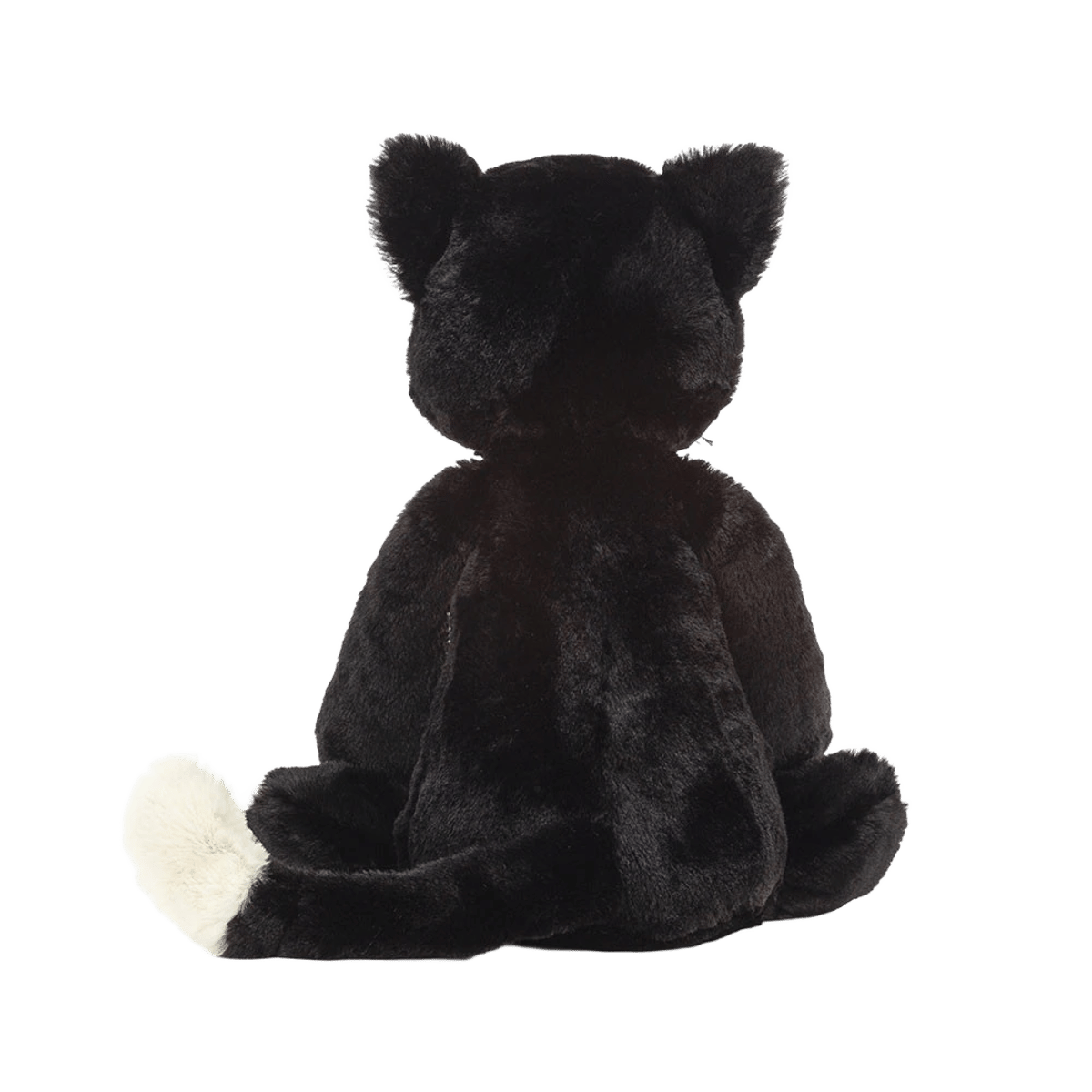 Bashful Black Kitten