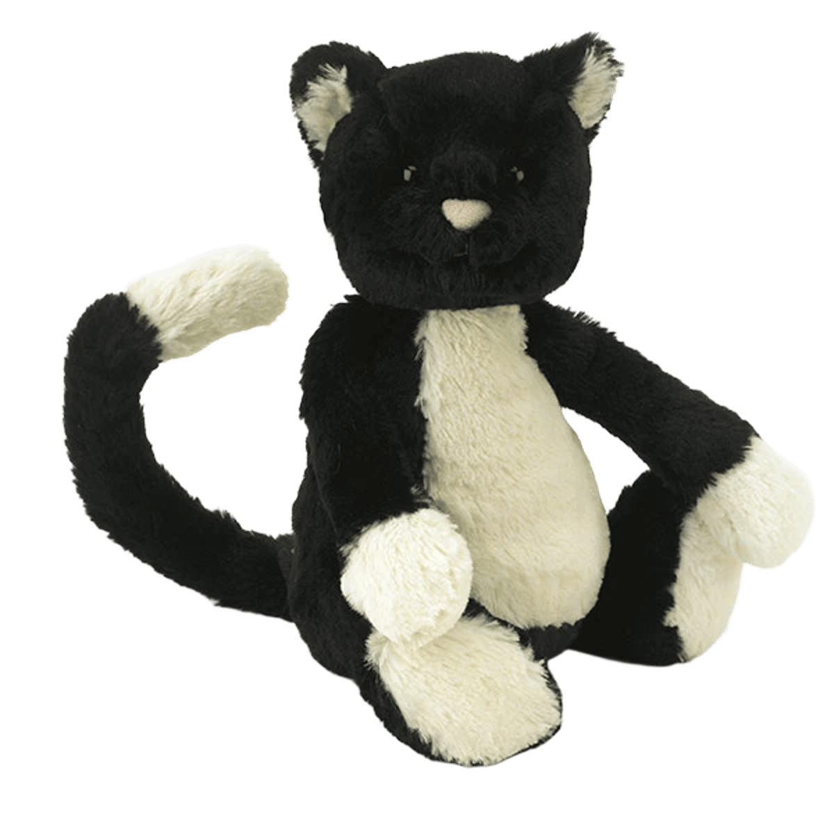 Bashful Black & White Cat