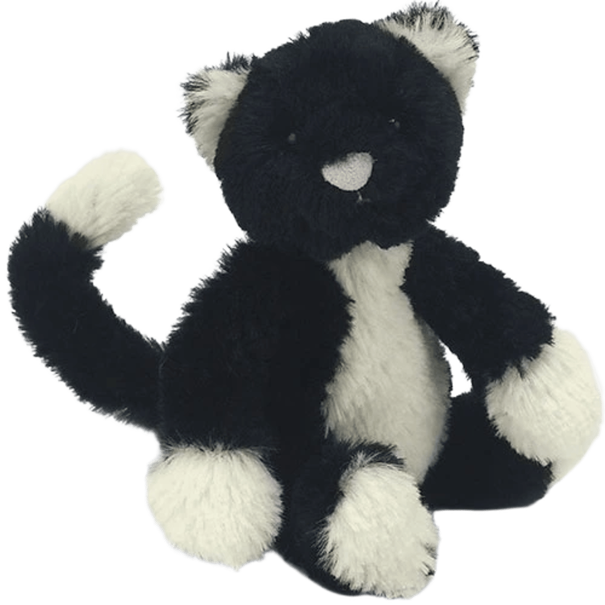 Bashful Black & White Cat