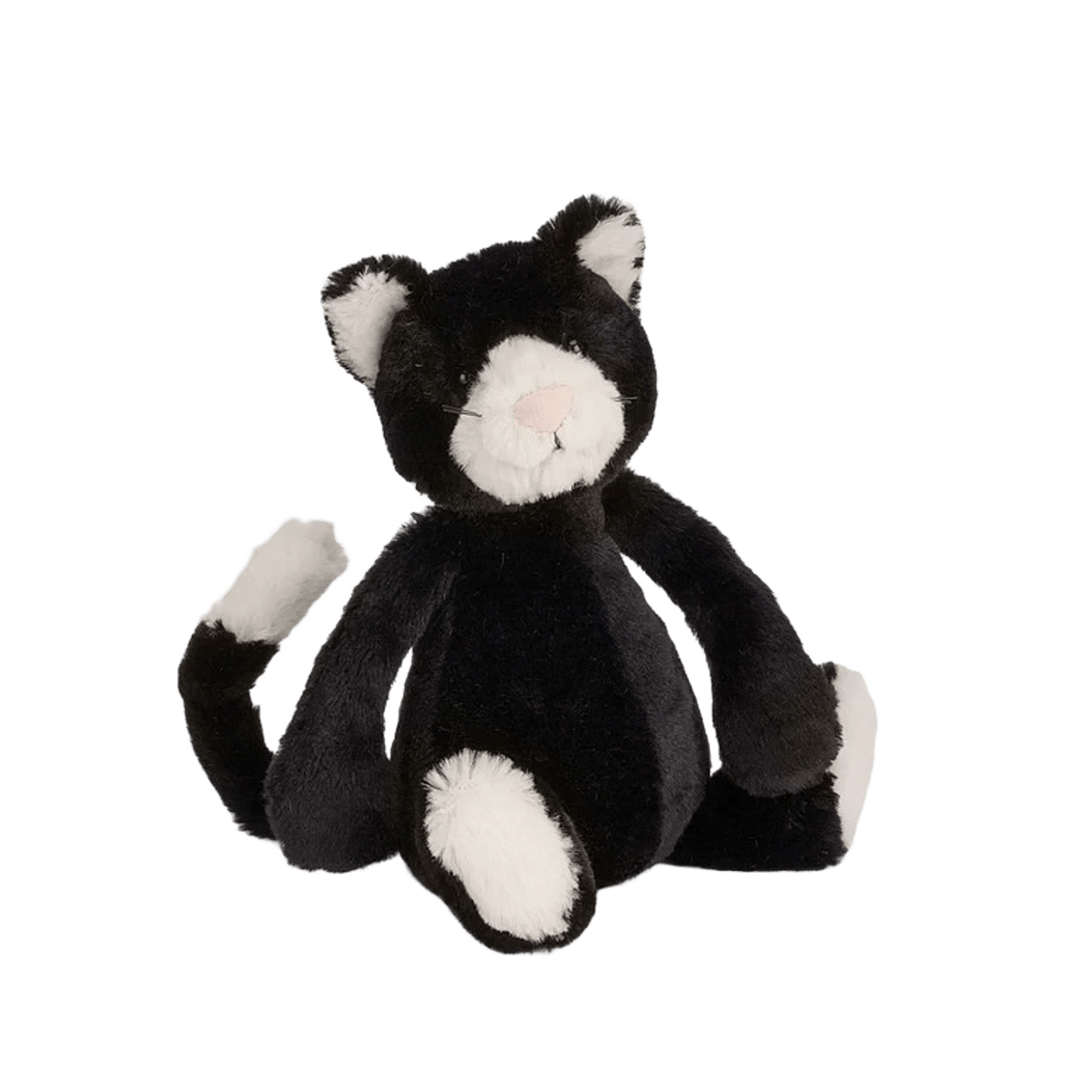 Bashful Black & White Kitten