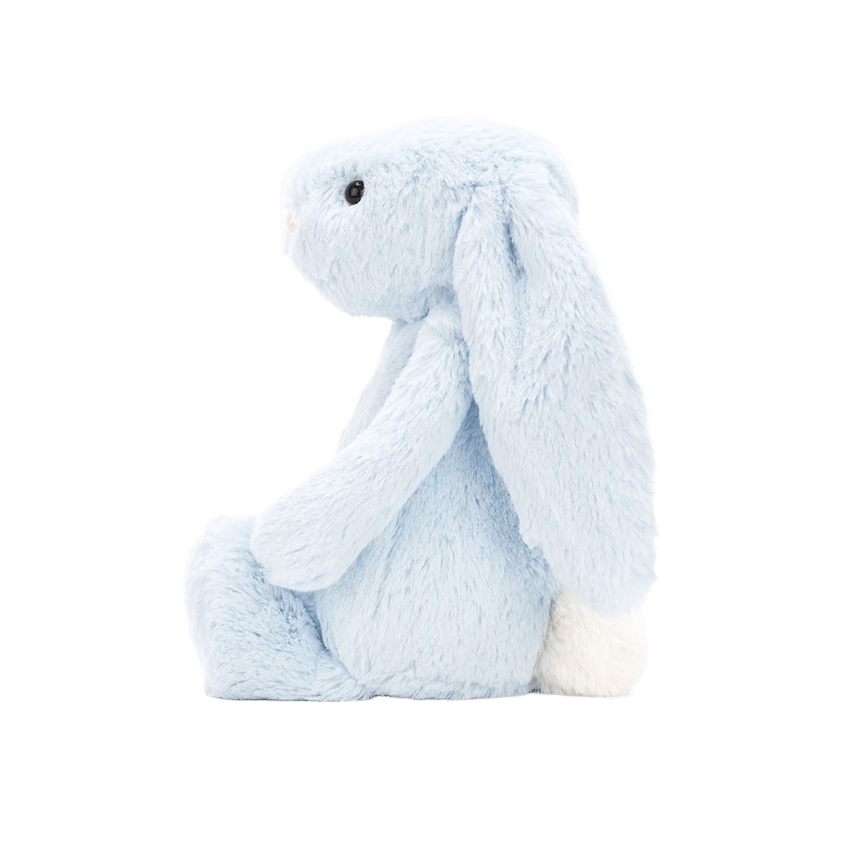 Bashful Blue Bunny